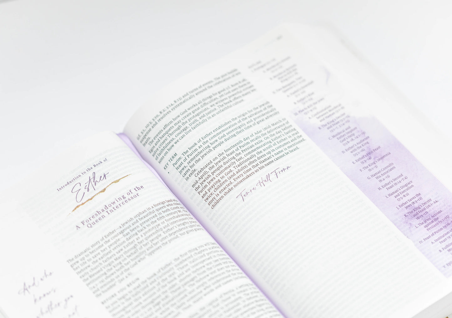 Living the Word Catholic Women's Bible (Rsv2ce) - Hardcover